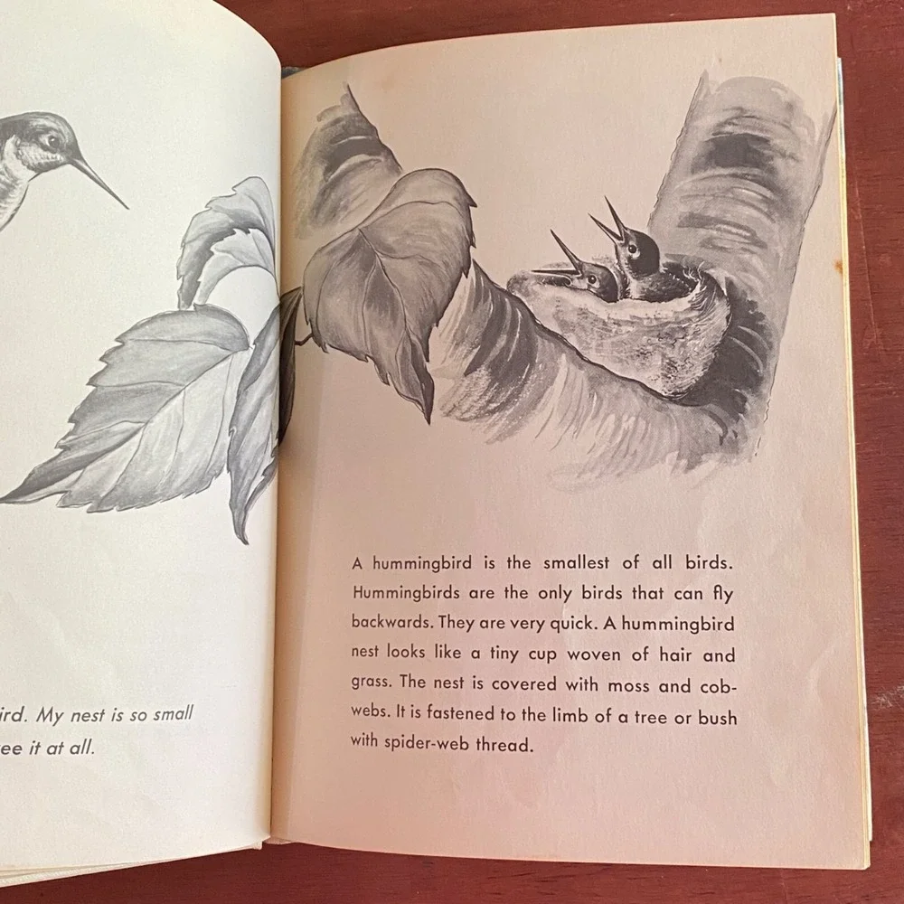 This Home For Me Hardcover Solveig P. Russell